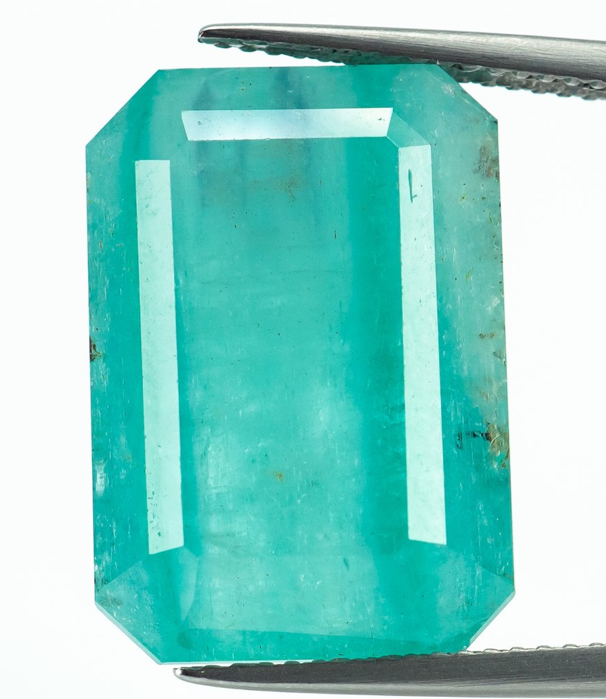 χωρίς τιμή ασφαλείας Σμαράγδι  - 20.32 ct - Bellerophon Gemlab - Πράσινο (Μικρό λάδι) #1.0