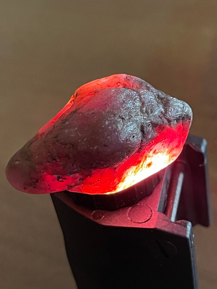 Ruby 令人惊叹的132克拉莫桑比克巨型血红宝石。宏伟的水晶。天然，100%特别精选。 - 高度: 39 mm - 闊度: 20 mm- 26.4 g #3.2