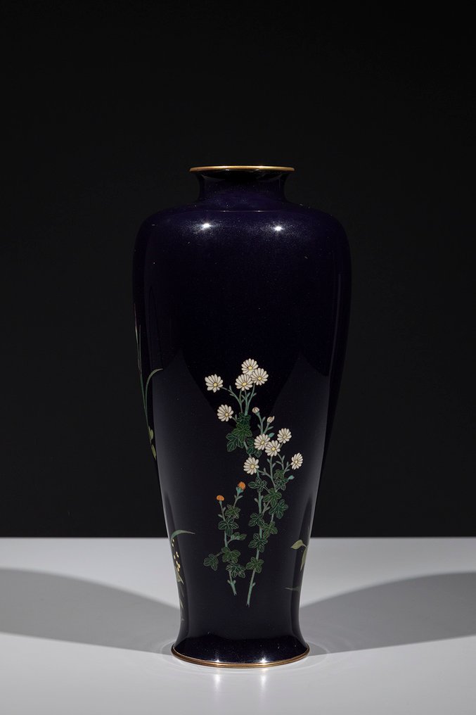 Βάζο - Σμάλτο, Ένα κομψό βάζο cloisonné που απεικονίζει μια σύνθεση ιρίδων και υδάτινων φυτών. - Ιαπωνία - Περίοδος Meiji (τέλη του 19ου αιώνα) #4.3