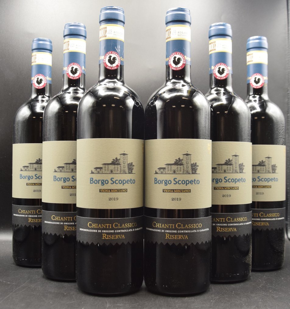 2019 Borgo Scopeto, "Vigna Misciano" - Chianti Classico DOCG, Riserva - 6 Bottles (0.75L) #1.0