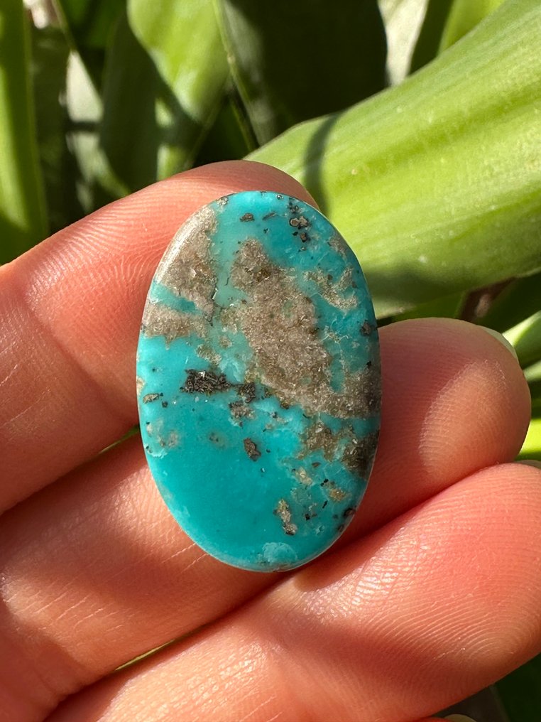 绿松石 精彩的内什巴尔绿松石，13.95克拉。大型精彩之作。宝石级！ - 高度: 28 mm - 宽度: 17 mm- 2.79 g #1.0