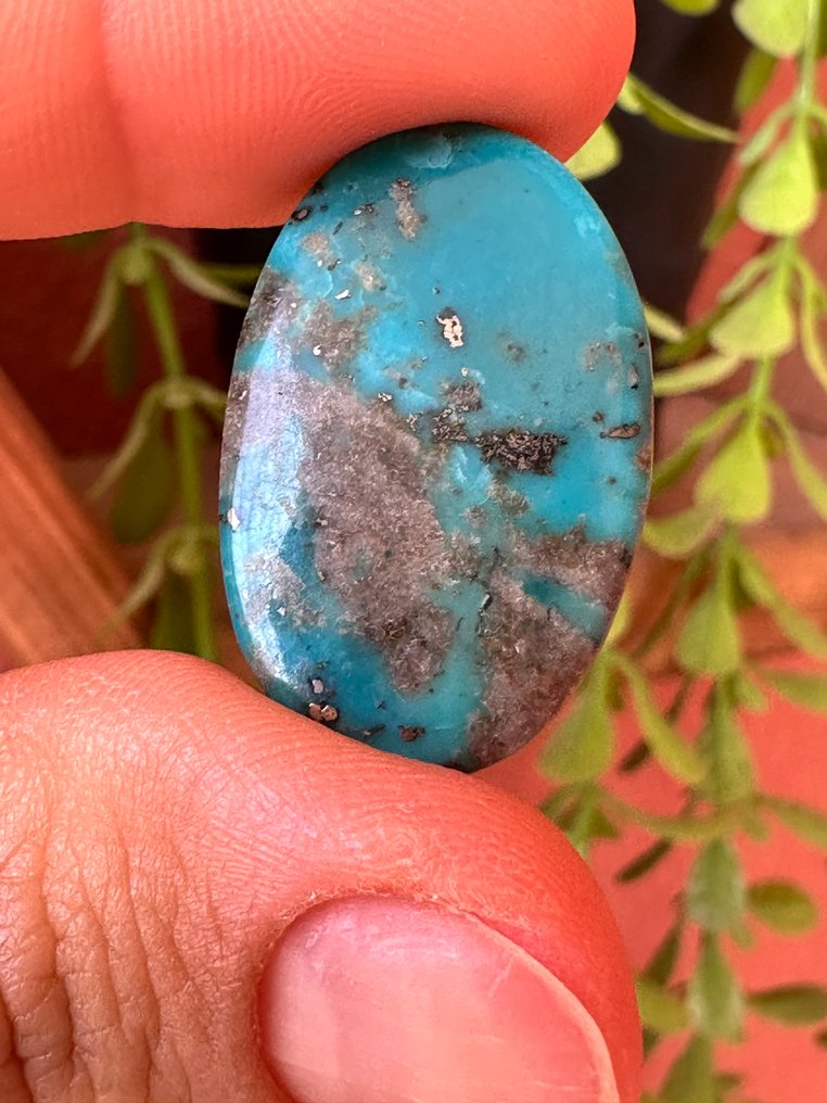 绿松石 精彩的内什巴尔绿松石，13.95克拉。大型精彩之作。宝石级！ - 高度: 28 mm - 宽度: 17 mm- 2.79 g #3.2