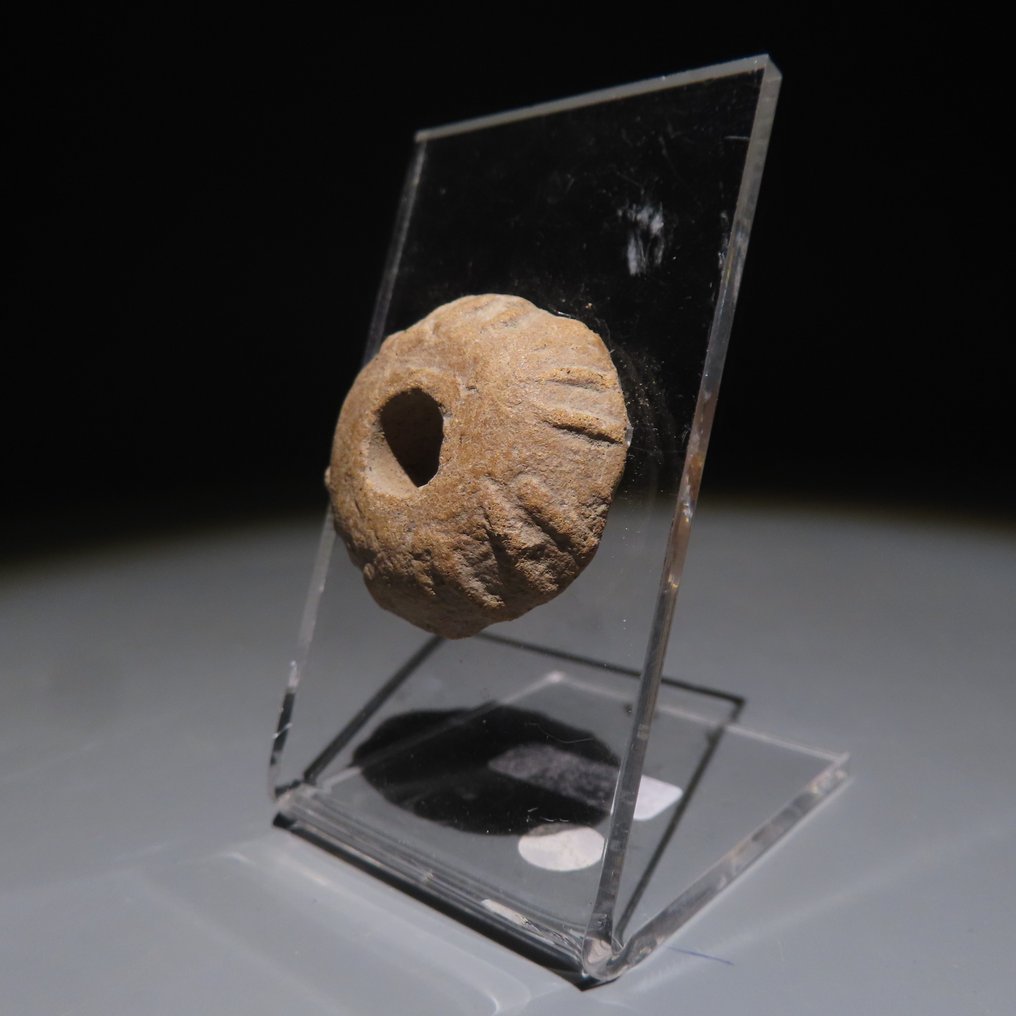 Maggio Terracotta Spindle Whorl. 300-600 d.C. altezza 3,2 cm. (Senza Prezzo di Riserva) #2.1