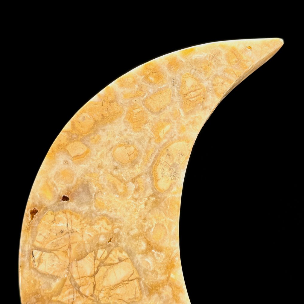 Χωρίς ελάχιστη τιμή - Υπέροχο Κίτρινο Maligano Jasper Σε σχήμα σεληνόφωτος σε μια προσαρμοσμένη βάση. - Ύψος: 28.2 cm - Πλάτος: 16 cm- 1700 g #3.2