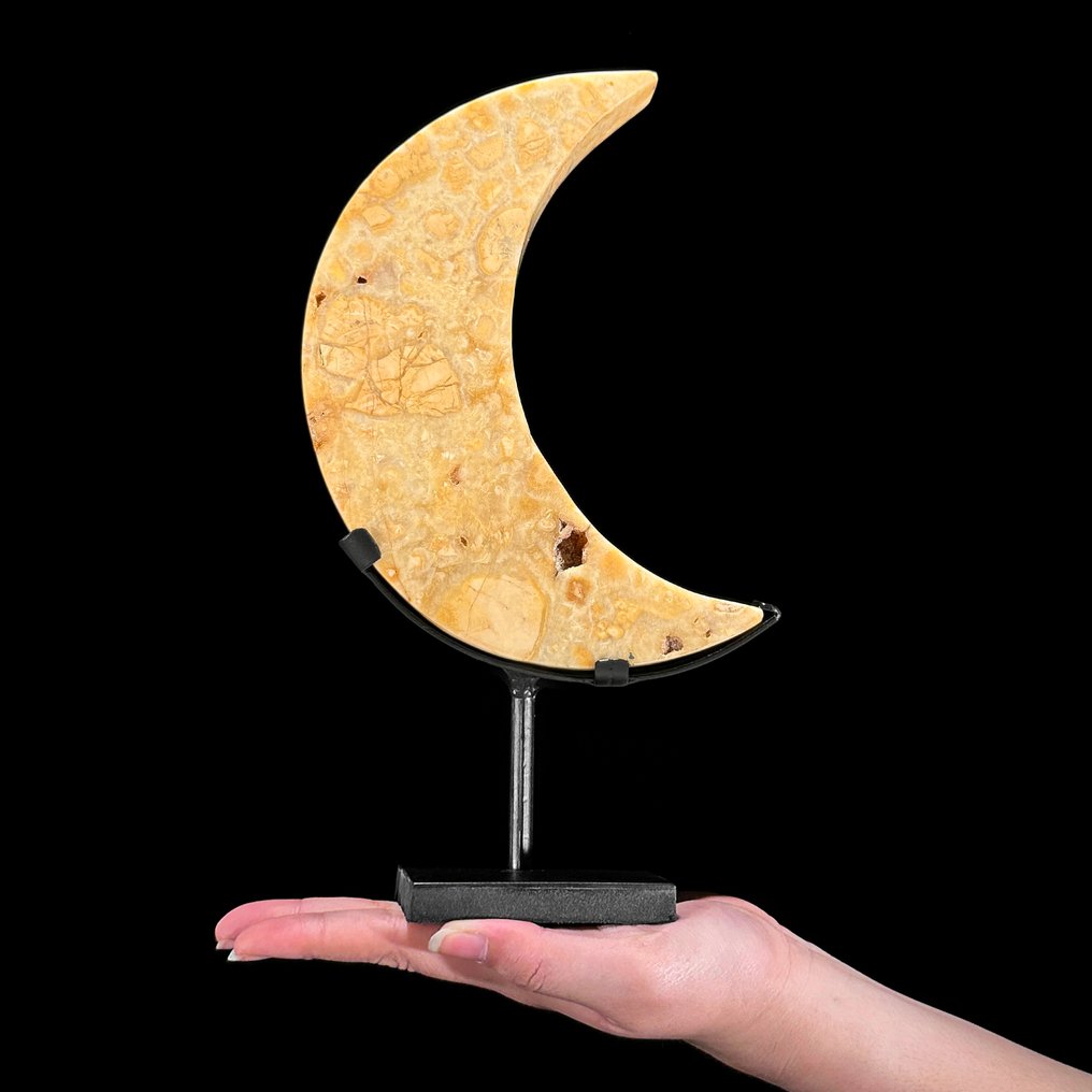 Χωρίς ελάχιστη τιμή - Υπέροχο Κίτρινο Maligano Jasper Σε σχήμα σεληνόφωτος σε μια προσαρμοσμένη βάση. - Ύψος: 28.2 cm - Πλάτος: 16 cm- 1700 g #1.0