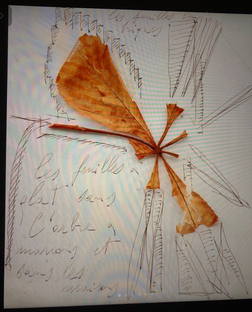 Mario Merz (1925-2023) - Les feuilles et les briques #4.3