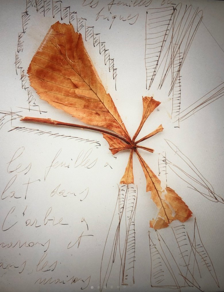 Mario Merz (1925-2023) - Les feuilles et les briques #3.2