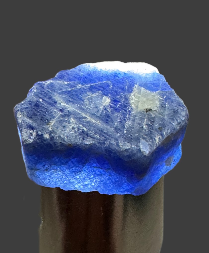 蓝宝石 不寻常的顶级皇家蓝。“全水晶高透明度特殊巨大块” 49.95 克拉。 - 高度: 22 mm - 宽度: 16 mm- 9.99 g #1.0