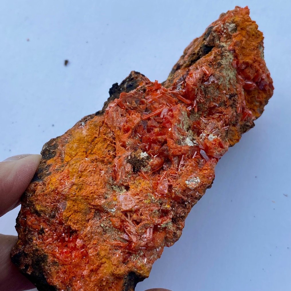 Belle collection de minéraux tels que crocoïte, hématoïde, quartz, etc. Groupe de cristal - Hauteur : 8.8 cm - Largeur : 4.2 cm- 754 g - (5) #2.1