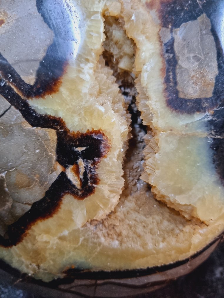 Stunning big septaria sculpture - druzy crystals Freeform - Height: 200 mm - Width: 170 mm- 6044 g #3.2