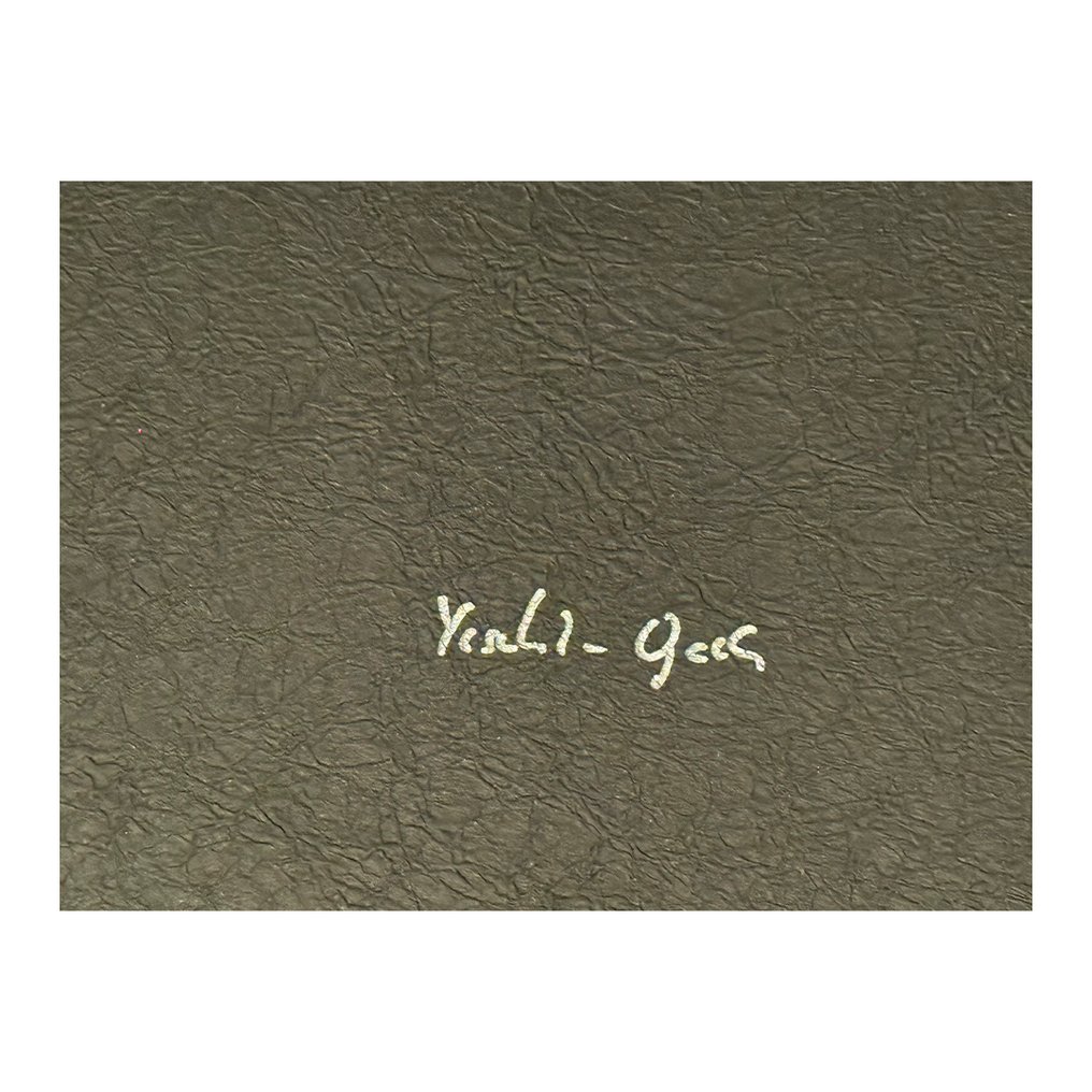 Signed, Yasuhiro Ogawa - The Dreaming - 2022 #1.0