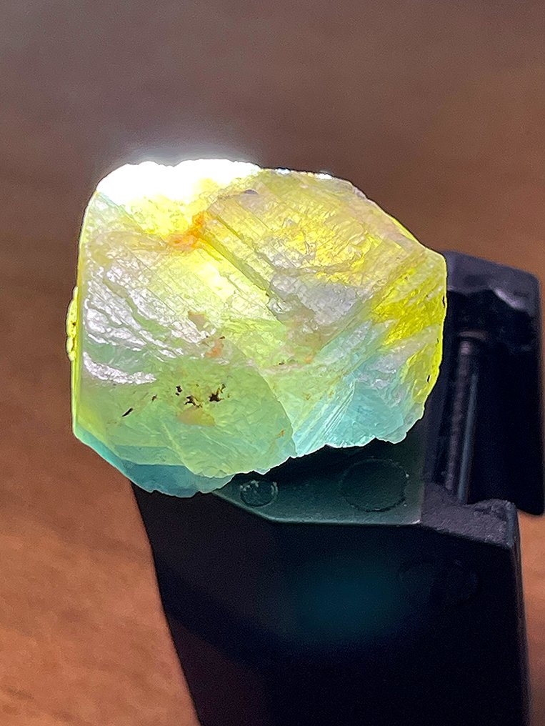 Ζαφείρι Υπέροχο κομμάτι! Απίστευτα σπάνιο πλήρες κρύσταλλο πολύχρωμου ζαφείρι. 62,1 καράτια, %100 Ειδικό - Ύψος: 26 mm - Πλάτος: 18 mm- 12.42 g #1.0