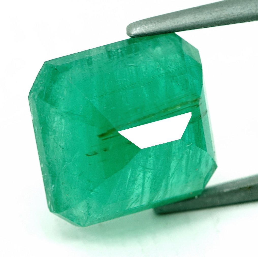 1 pcs Green Emerald - 6.92 ct - Bellerophon Gemlab #3.2