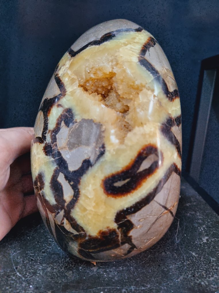 Stunning big septaria sculpture - druzy crystals Freeform - Height: 200 mm - Width: 170 mm- 6044 g #4.3