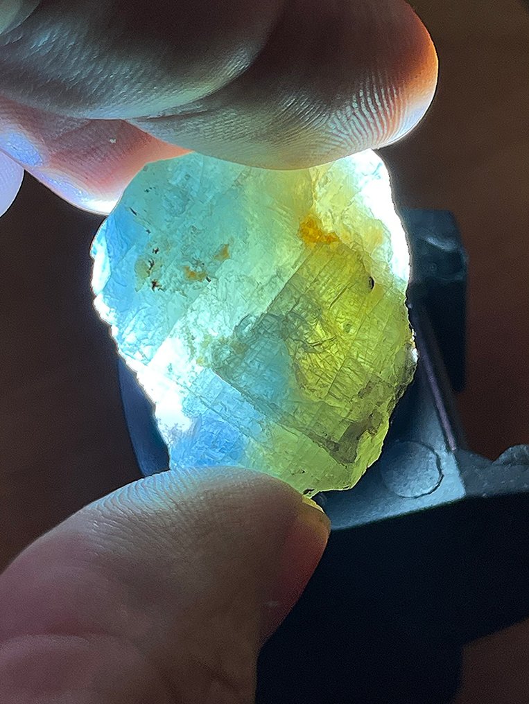 Ζαφείρι Υπέροχο κομμάτι! Απίστευτα σπάνιο πλήρες κρύσταλλο πολύχρωμου ζαφείρι. 62,1 καράτια, %100 Ειδικό - Ύψος: 26 mm - Πλάτος: 18 mm- 12.42 g #3.2