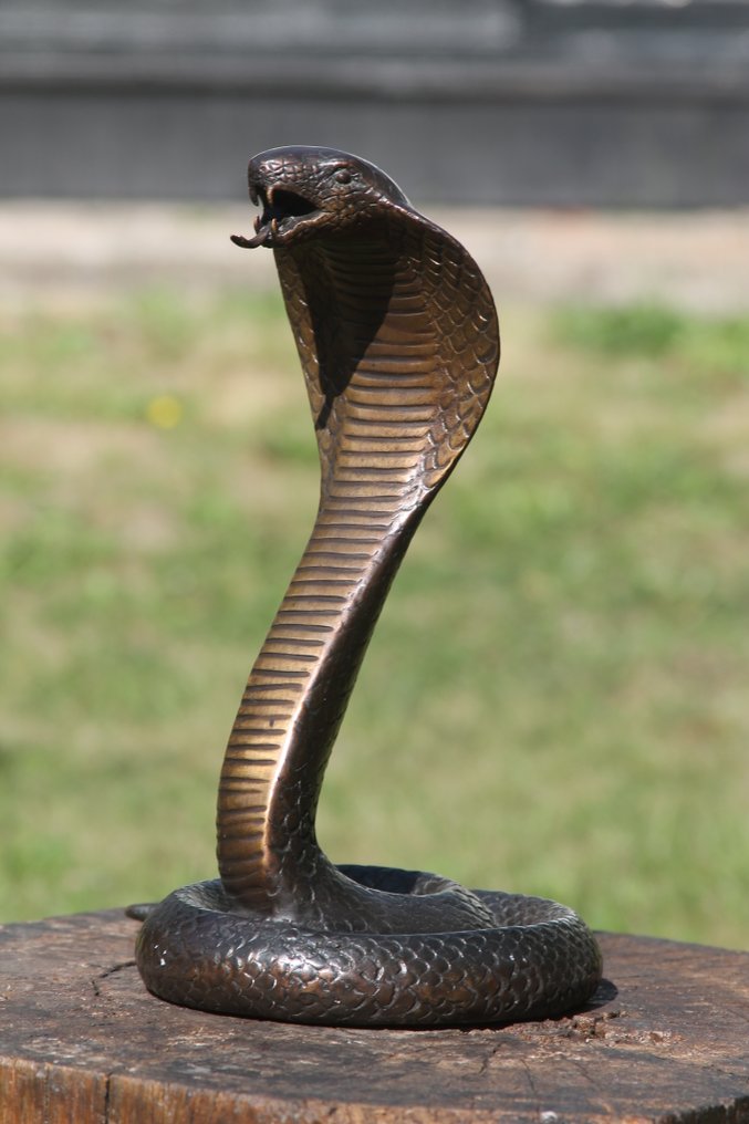 Sculpture, cobra slang - 30 cm - Bronze #3.2