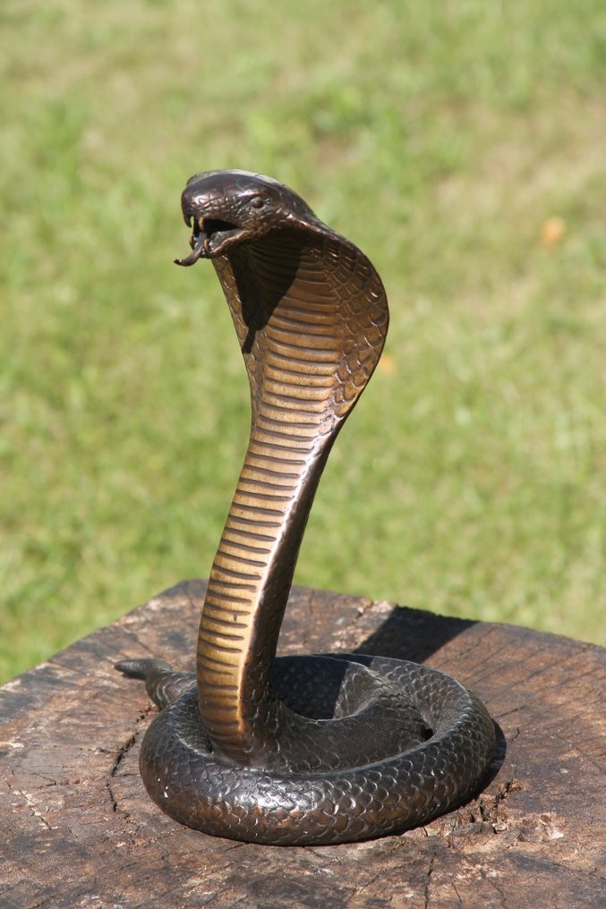 Sculpture, cobra slang - 30 cm - Bronze #1.0