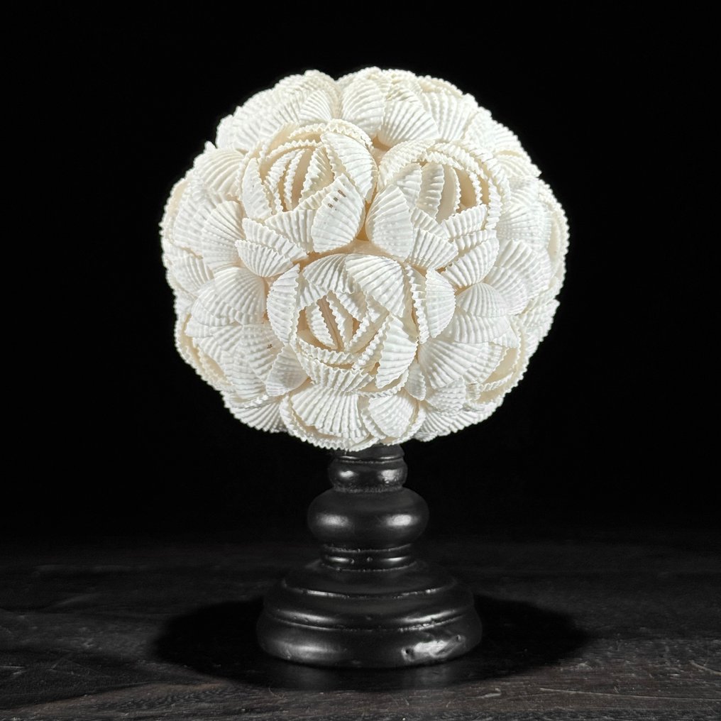 Διακοσμητικό στολίδι - Χωρίς τιμή ελάχιστης προσφοράς - Υπέροχο σετ με μια σφαιρική όστρακο και μια συστάδα κιτρίνης σε - Ινδονησία #1.0