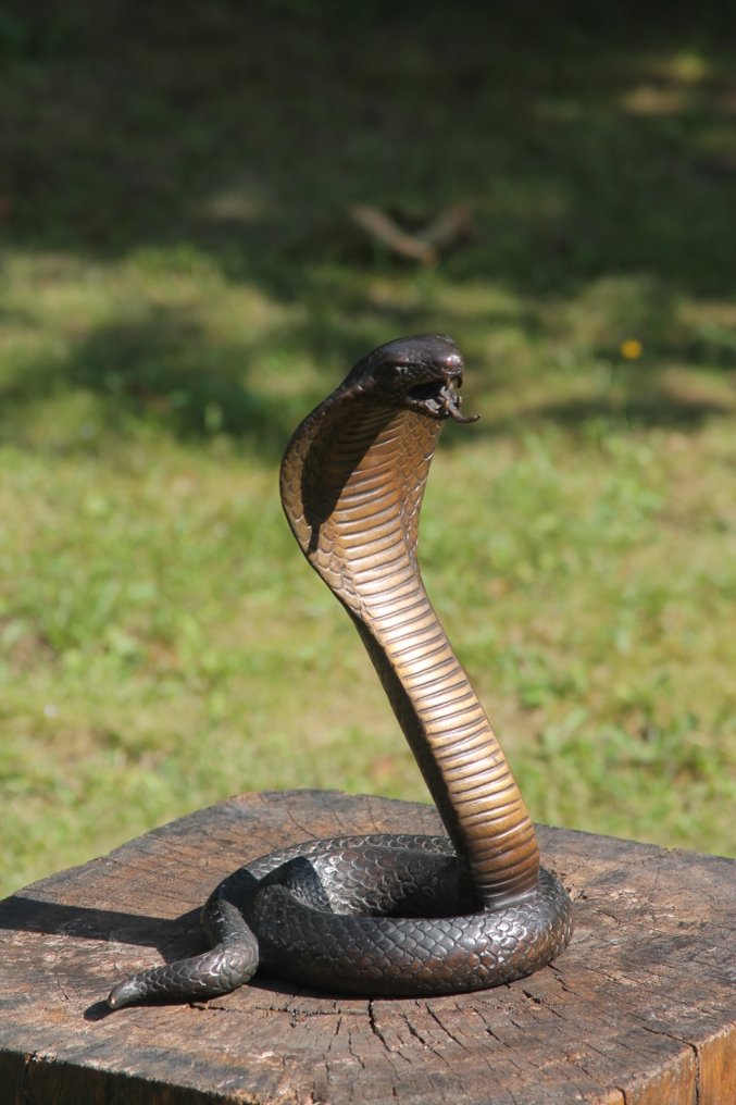 Sculpture, cobra slang - 30 cm - Bronze #2.1