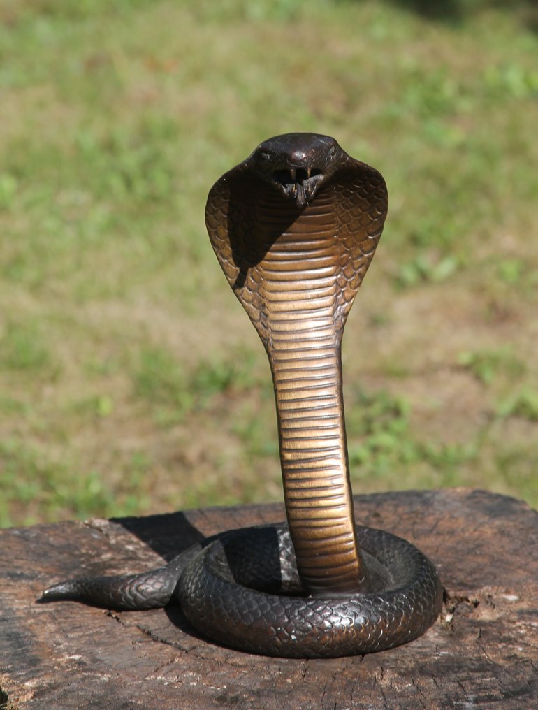 Sculpture, cobra slang - 30 cm - Bronze #1.0