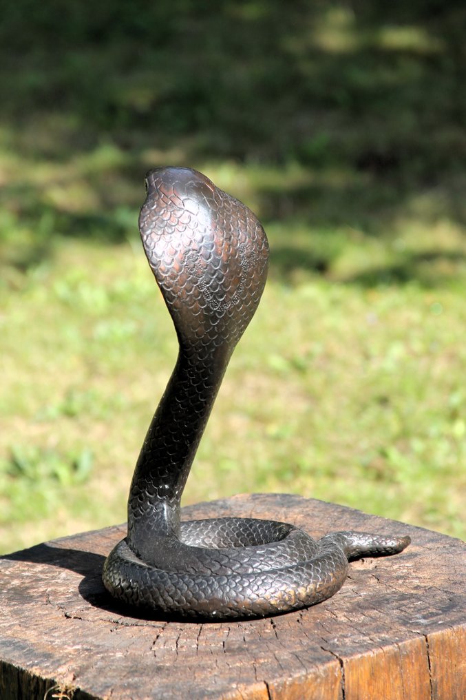 Sculpture, cobra slang - 30 cm - Bronze #4.3