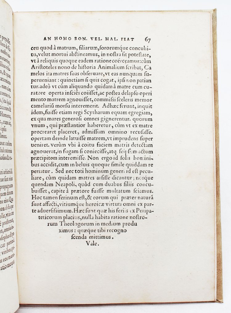 Porzio - Homo Bonus Vel Malus - 1551 #3.2