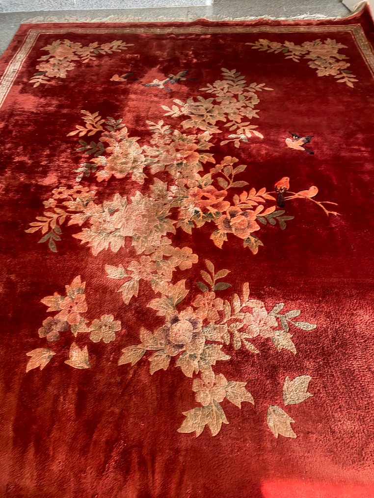 China - Teppich - 310 cm - 220 cm #4.3