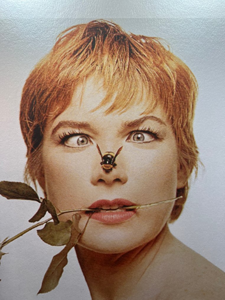 Bert Stern (1929–2013) - Bert Stern Signed Famous Shirley MacLaine #2.1