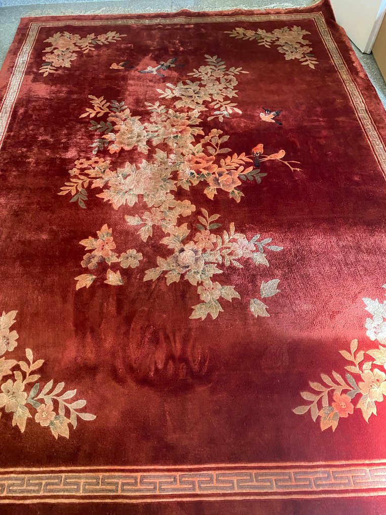 China - Teppich - 310 cm - 220 cm #1.0