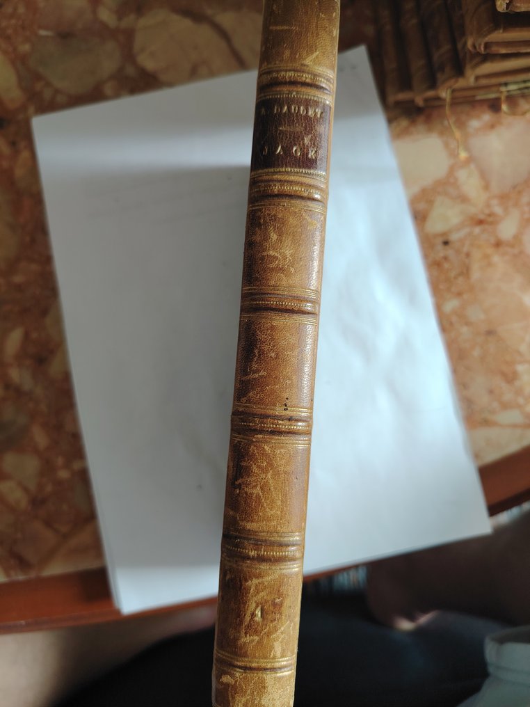 Alphonse Daudet - Oeuvres complètes d'Alphonse Daudet - 1890-1900 #2.1