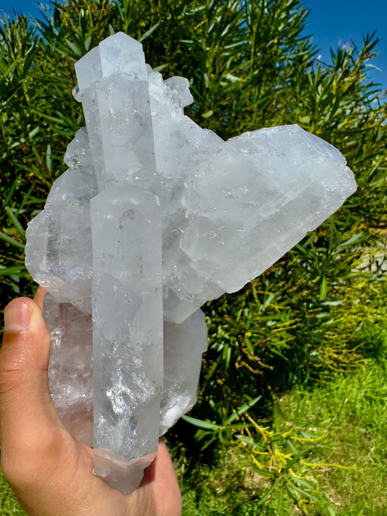 Stunning Big Faden Quartz Crystal on matrix - Height: 19 cm - Width: 11 cm- 1696 g - (1) #4.3