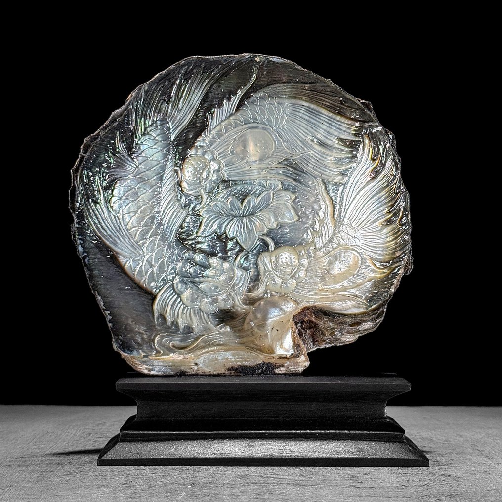 精细雕刻的珍珠母贝壳 - 精美的日本锦鲤鱼雕刻 海贝 - Pinctada Maxima  (没有保留价) #3.2