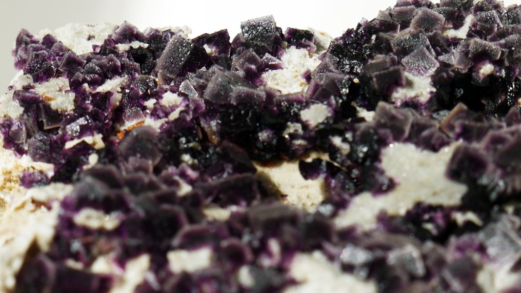 Fluorite cubic - Height: 32 mm - Width: 150 mm- 1310 g - (1) #2.1