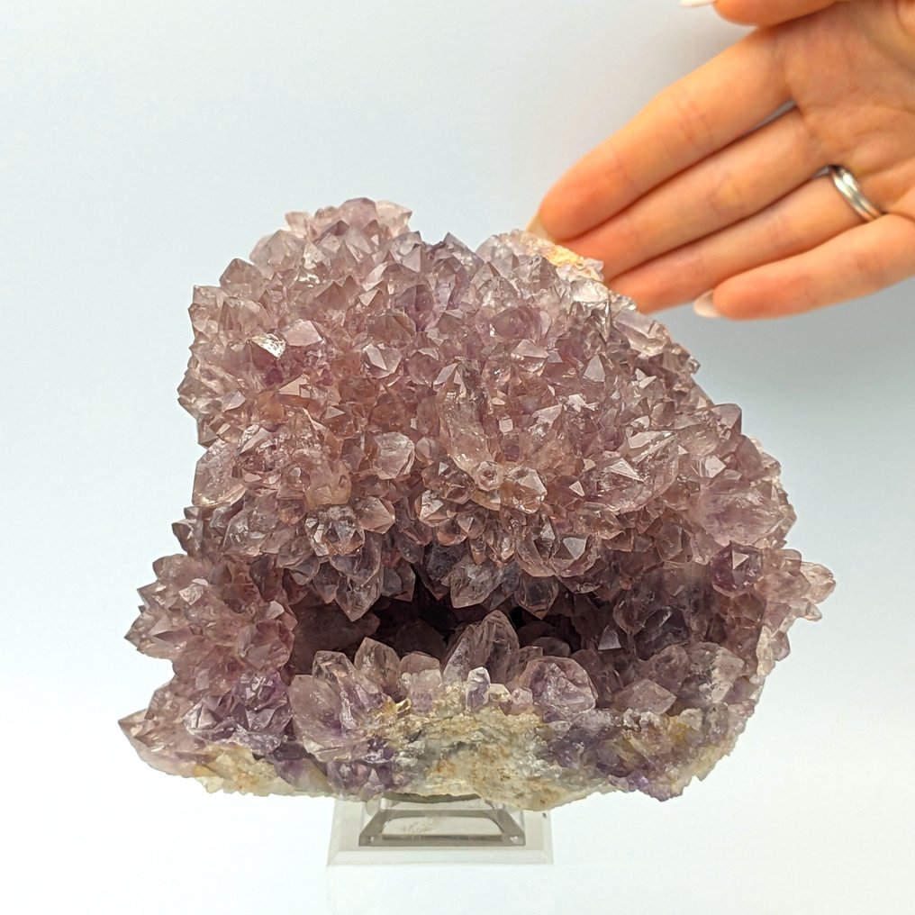 Intense violet amethyst cluster, Uruguay Crystals - Height: 130 mm - Width: 112 mm- 1337 g #1.0