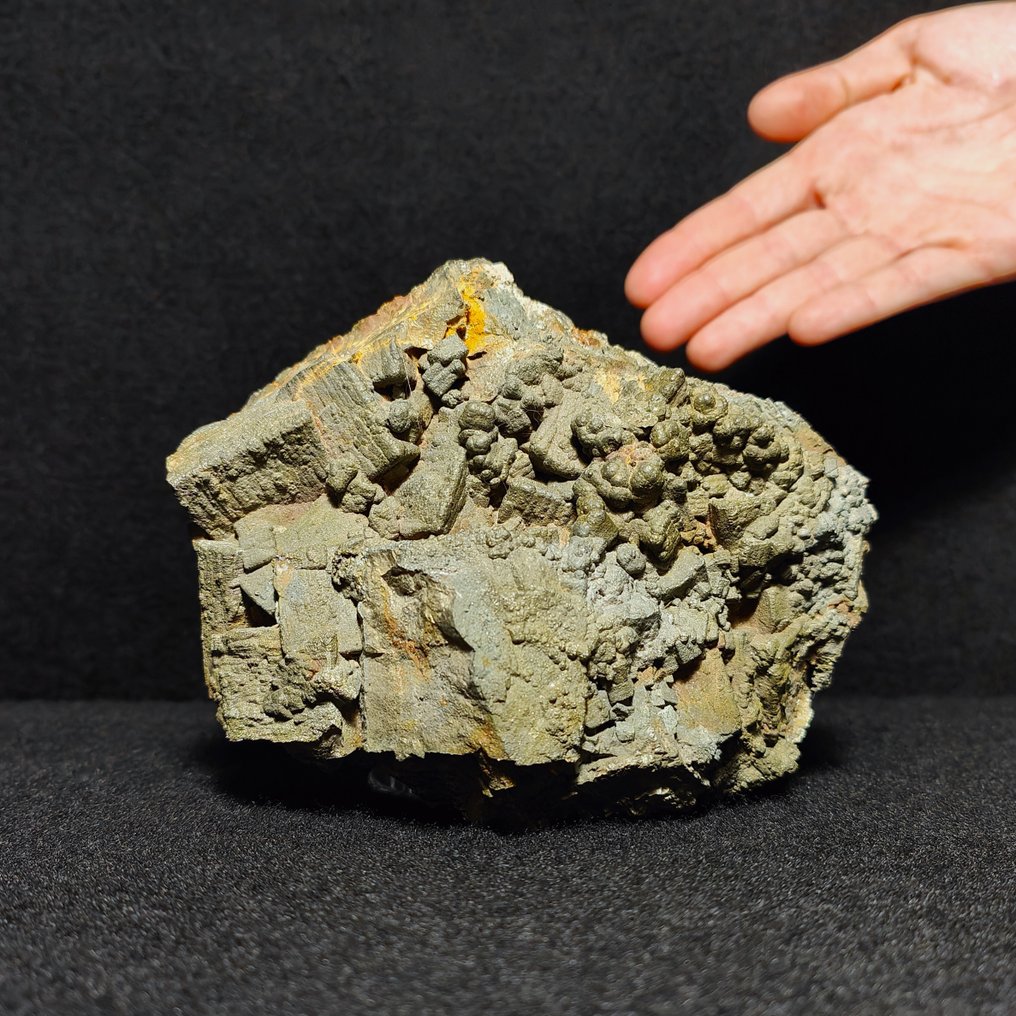 Unique MELNIKOVITE pseudomorph of pyrite, museal, extremely rare Crystals on matrix - Height: 157 mm - Width: 128 mm- 3259 g #1.0