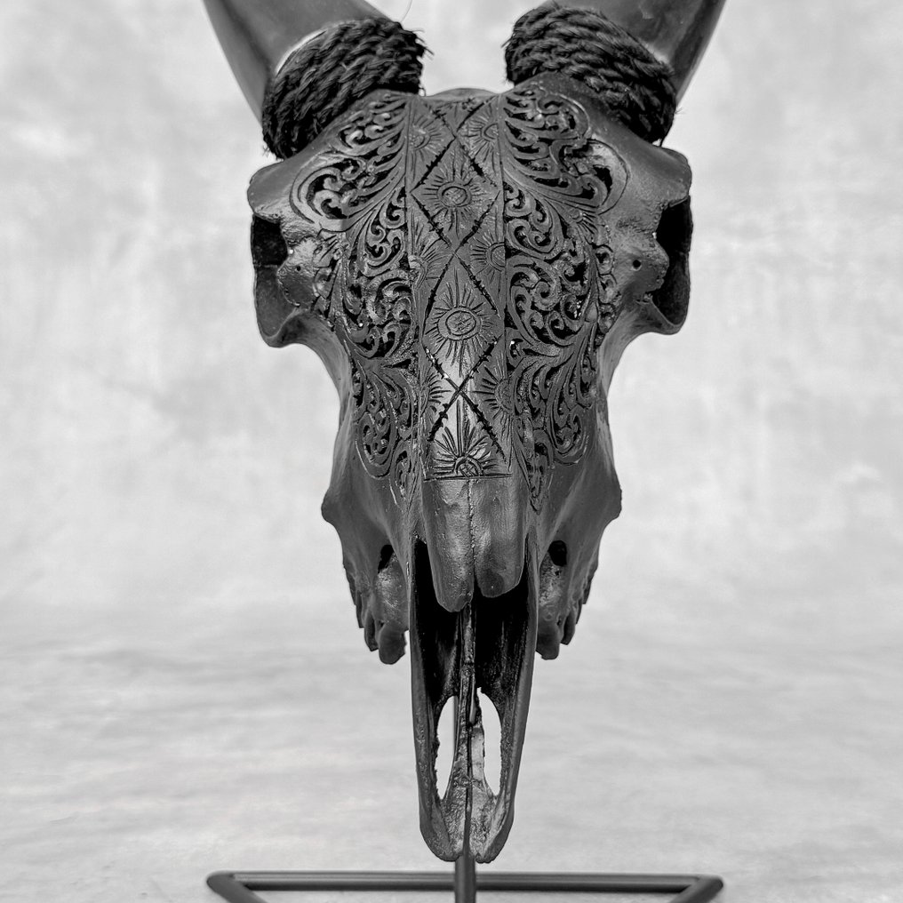 ΔΕΝ ΥΠΑΡΧΕΙ ΕΛΑΧΙΣΤΗ ΤΙΜΗ - Αυθεντικό σκαλιστό κρανίο μαύρης κατσίκας - Μοτίβο Ketupat- Λαξεμένο κρανίο - Capra aegagrus - 36 cm - 19 cm - 18 cm- Είδη που δεν ανήκουν στο CITES -  (1) #1.0