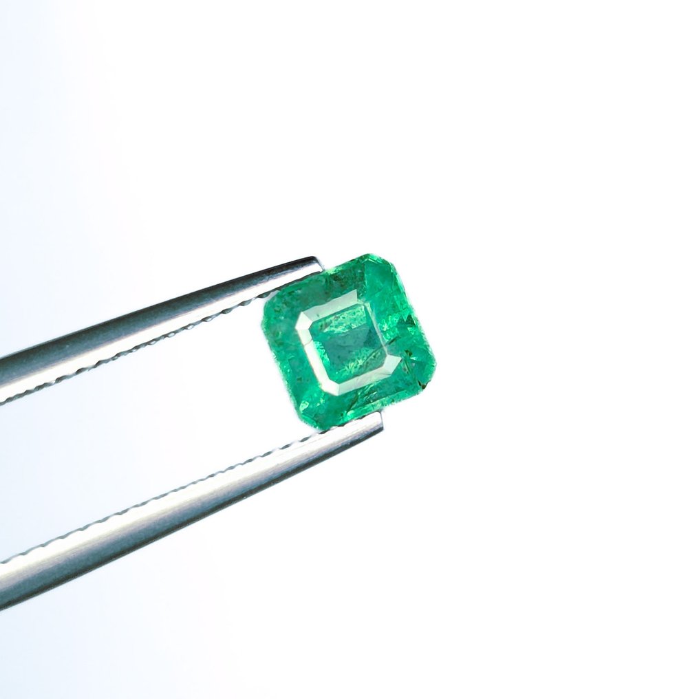 Zonder minimumprijs Smaragd - 1.39 ct - International Gemological Institute (IGI) #1.0