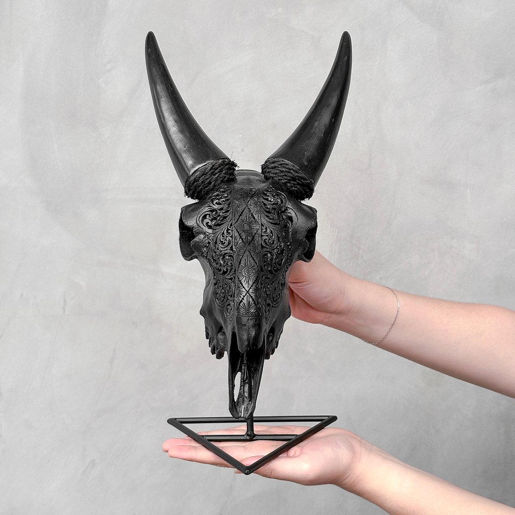 ΔΕΝ ΥΠΑΡΧΕΙ ΕΛΑΧΙΣΤΗ ΤΙΜΗ - Αυθεντικό σκαλιστό κρανίο μαύρης κατσίκας - Μοτίβο Ketupat- Λαξεμένο κρανίο - Capra aegagrus - 36 cm - 19 cm - 18 cm- Είδη που δεν ανήκουν στο CITES -  (1) #1.0