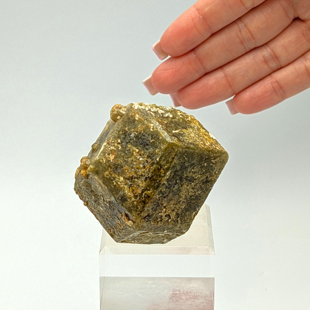 Ogromna grossularia, zielone granaty z calcitem, Mali. Kryształ - Wysokość: 55.1 mm - Szerokość: 43 mm- 178 g #2.1