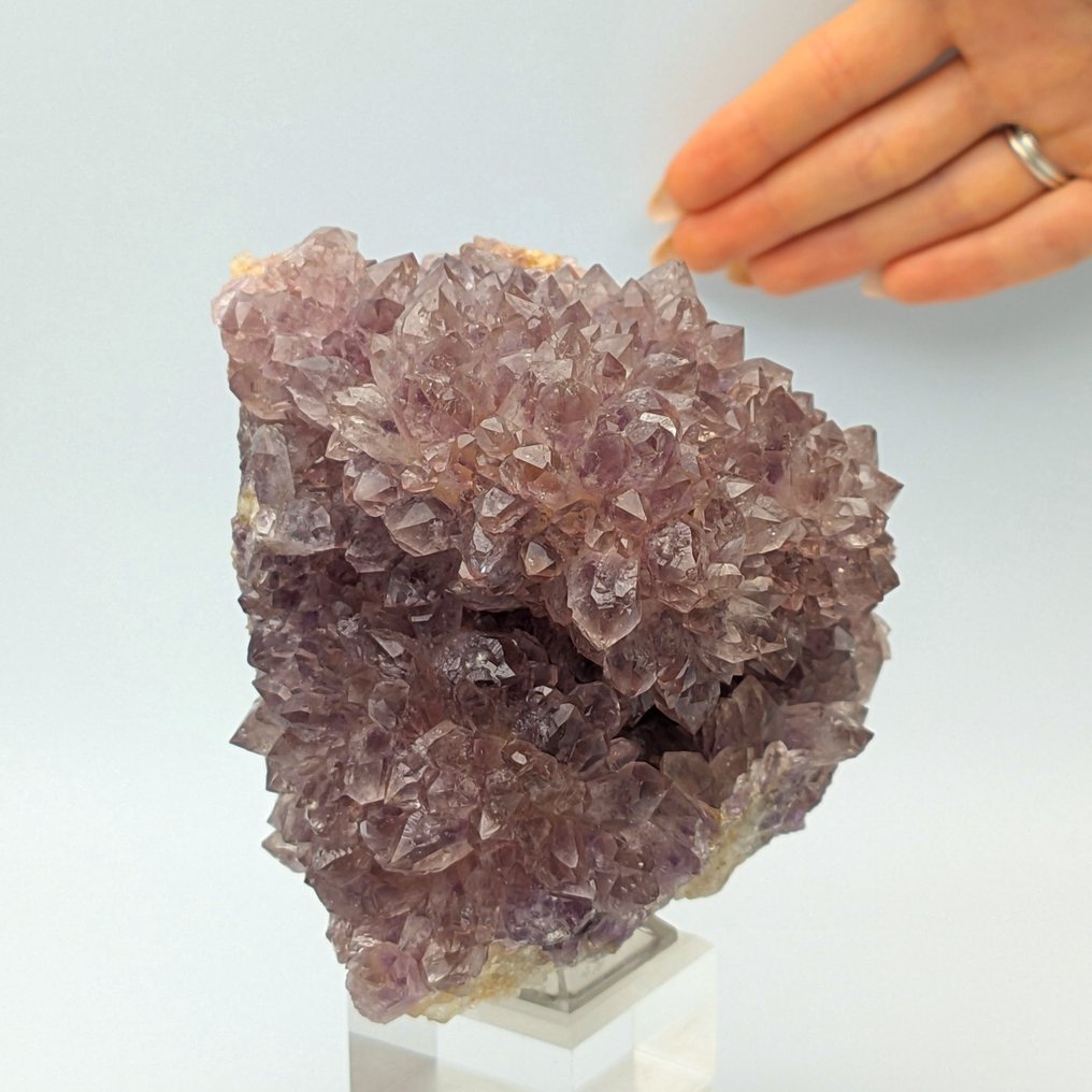 Intense violet amethyst cluster, Uruguay Crystals - Height: 130 mm - Width: 112 mm- 1337 g #1.0