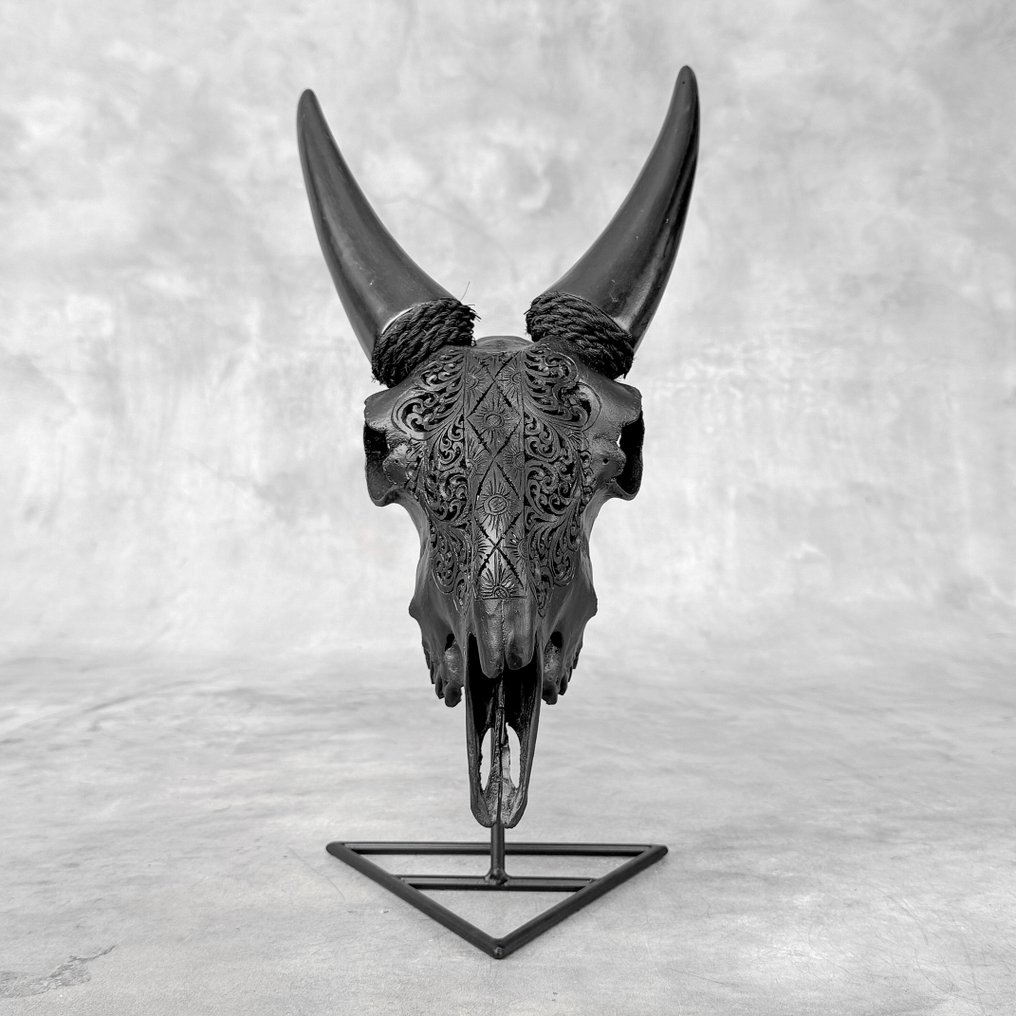 ΔΕΝ ΥΠΑΡΧΕΙ ΕΛΑΧΙΣΤΗ ΤΙΜΗ - Αυθεντικό σκαλιστό κρανίο μαύρης κατσίκας - Μοτίβο Ketupat- Λαξεμένο κρανίο - Capra aegagrus - 36 cm - 19 cm - 18 cm- Είδη που δεν ανήκουν στο CITES -  (1) #3.2