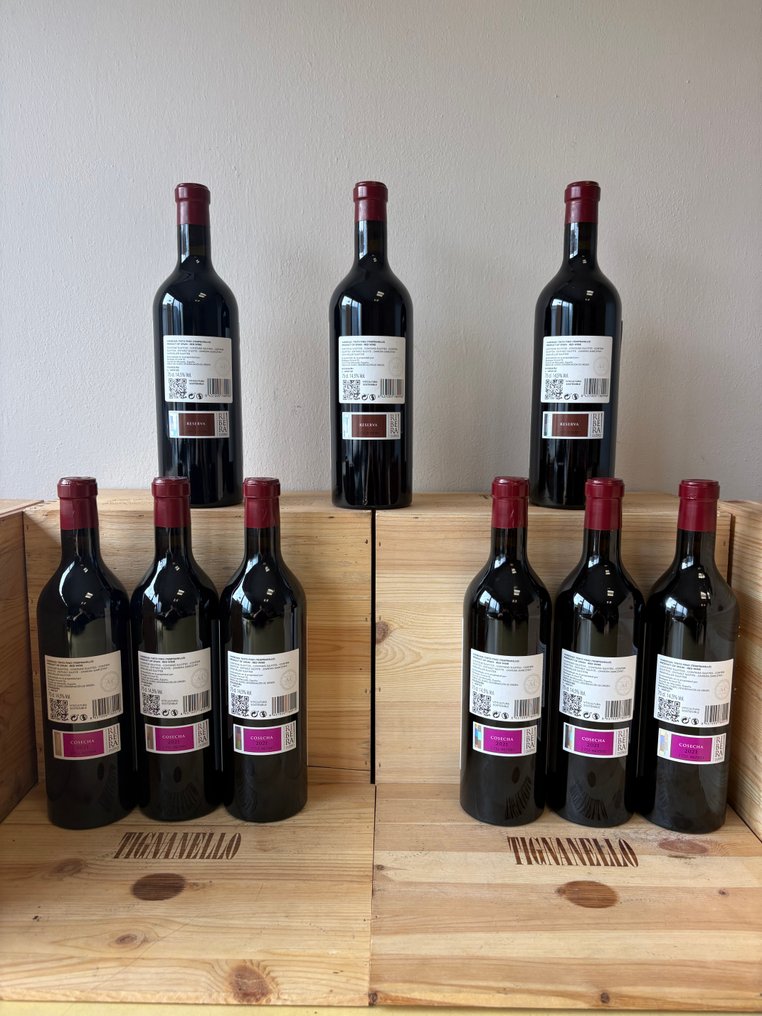 2020 Arrocal Reserva de Familia x3 & 2021 Arrocal Selección Especial x6 - Ribera del Duero Reserva - 9 Bottles (0.75L) #1.0