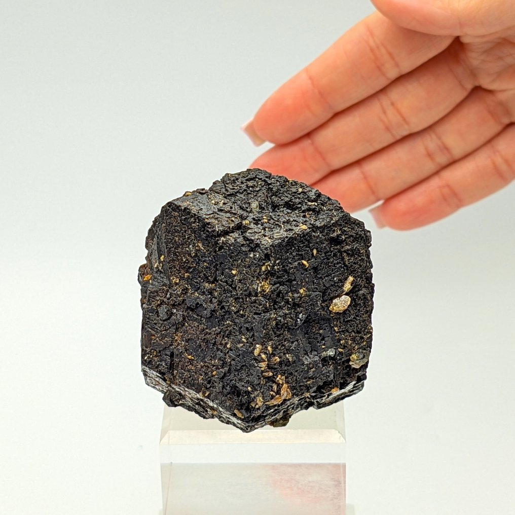 Μελανίτης, μαύρος γρανάτης, μεγάλος κρύσταλλος, Mali. Κρύσταλλος - Ύψος: 65 mm - Πλάτος: 53 mm- 275 g #1.0