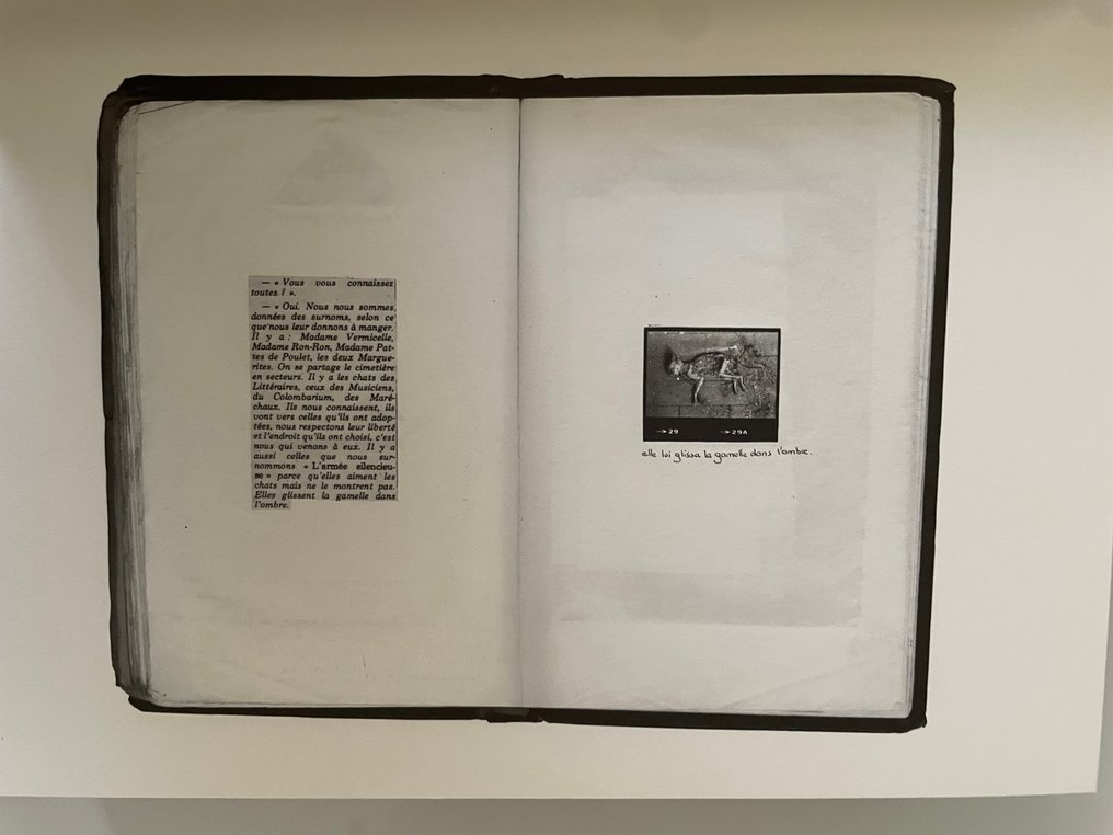 Signed; Sophie Calle - M'as tu vue - 2003 #3.2