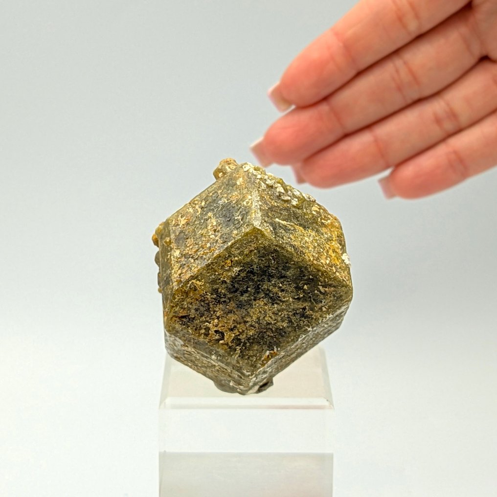 Ogromna grossularia, zielone granaty z calcitem, Mali. Kryształ - Wysokość: 55.1 mm - Szerokość: 43 mm- 178 g #1.0