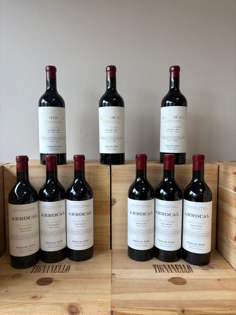 2020 Arrocal Reserva de Familia x3 & 2021 Arrocal Selección Especial x6 - Ribera del Duero Reserva - 9 Bottles (0.75L) #1.0