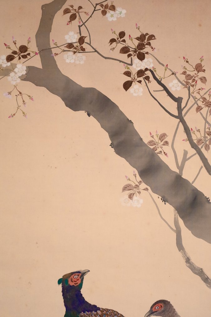 Spring Flower and Bird - Cherry Tree and Two Pheasants - hanging scroll - Handpainted on silk - Houko 芳湖 - Japan - Shōwa period (1926-1989) #4.3