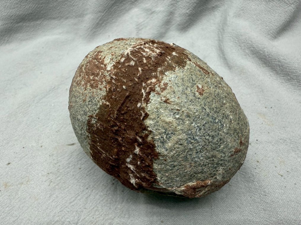 Δεινόσαυρος - Απολιθωμένη μήτρα - Hadrosaurus or Therizinosaurus - 9.5 cm - 9 cm  (χωρίς τιμή ασφαλείας) #2.1