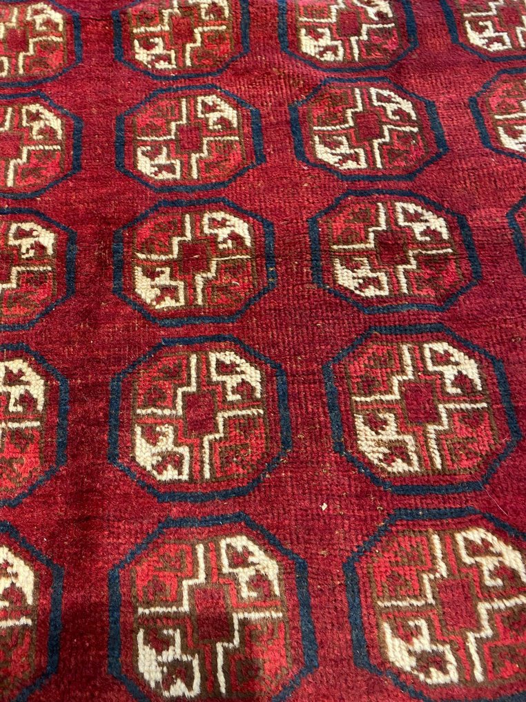 Tapete - 335 cm - 220 cm #2.1