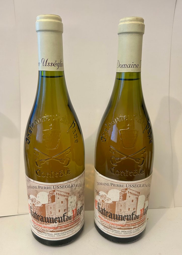 2005 Domaine Pierre Usseglio & Fils, Châteauneuf-du-Pape - 教皇新堡法定產區 Appellation Chateauneuf-du-Pape Controlee - 2 瓶 (0.75L) #1.0